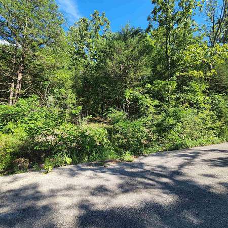 0.19 Acres of Residential Land for Sale in Cherokee Village, Arkansas
