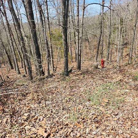 0.32 Acres of Residential Land for Sale in Cherokee Village, Arkansas