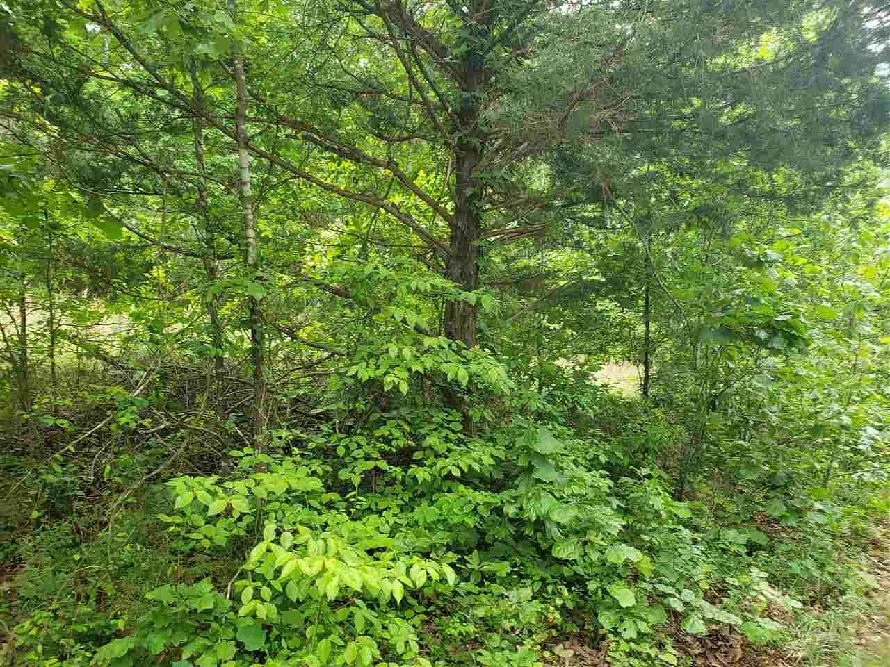 0.35 Acres of Land for Sale in Cherokee Village, Arkansas