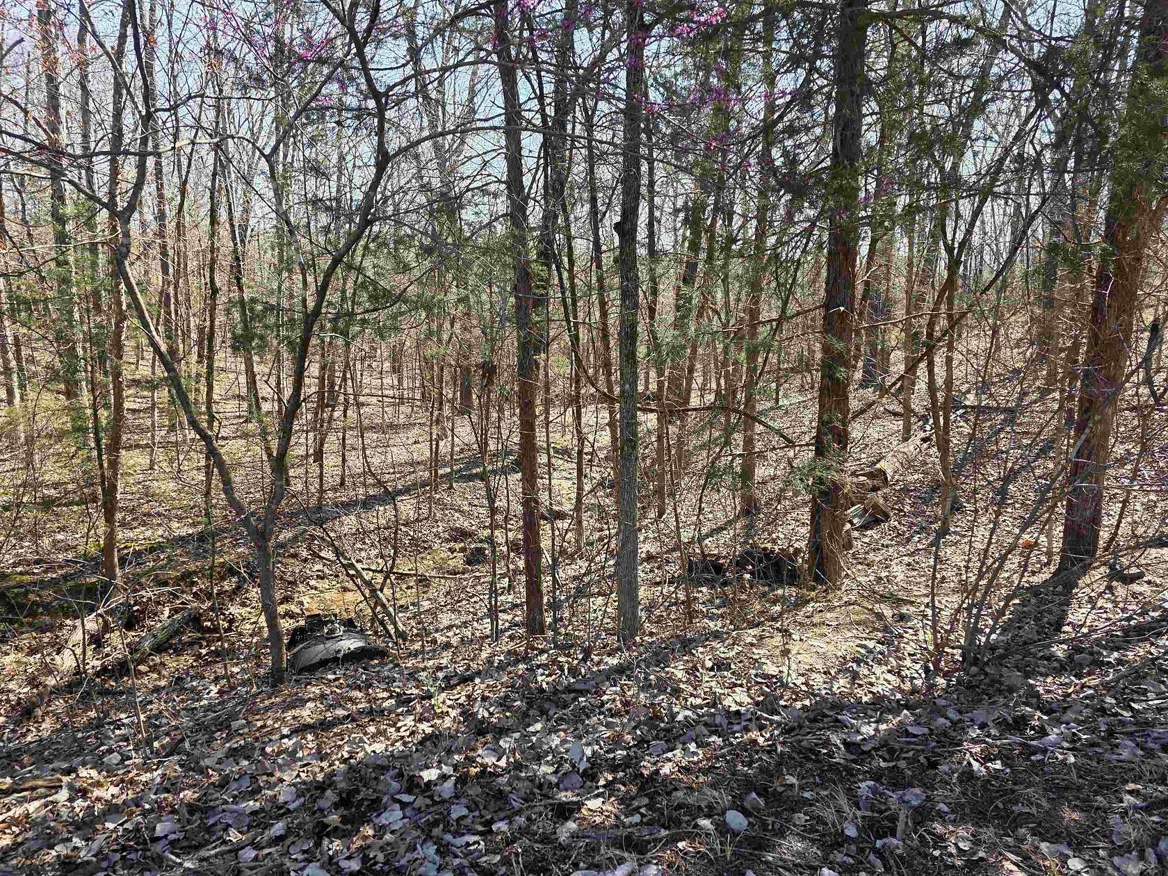 0.46 Acres of Residential Land for Sale in Cherokee Village, Arkansas