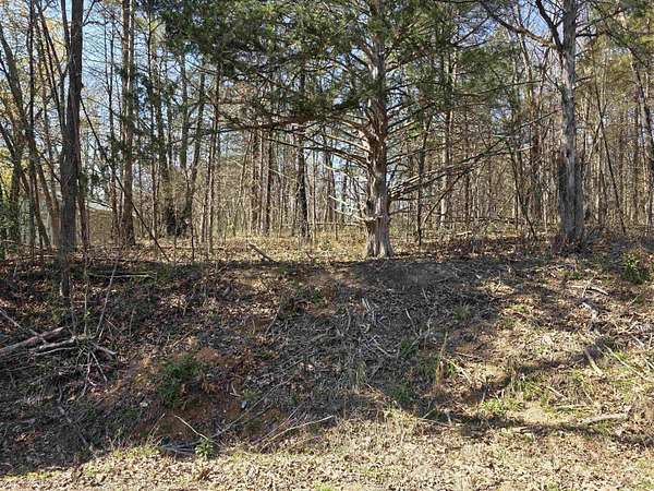 0.41 Acres of Residential Land for Sale in Cherokee Village, Arkansas