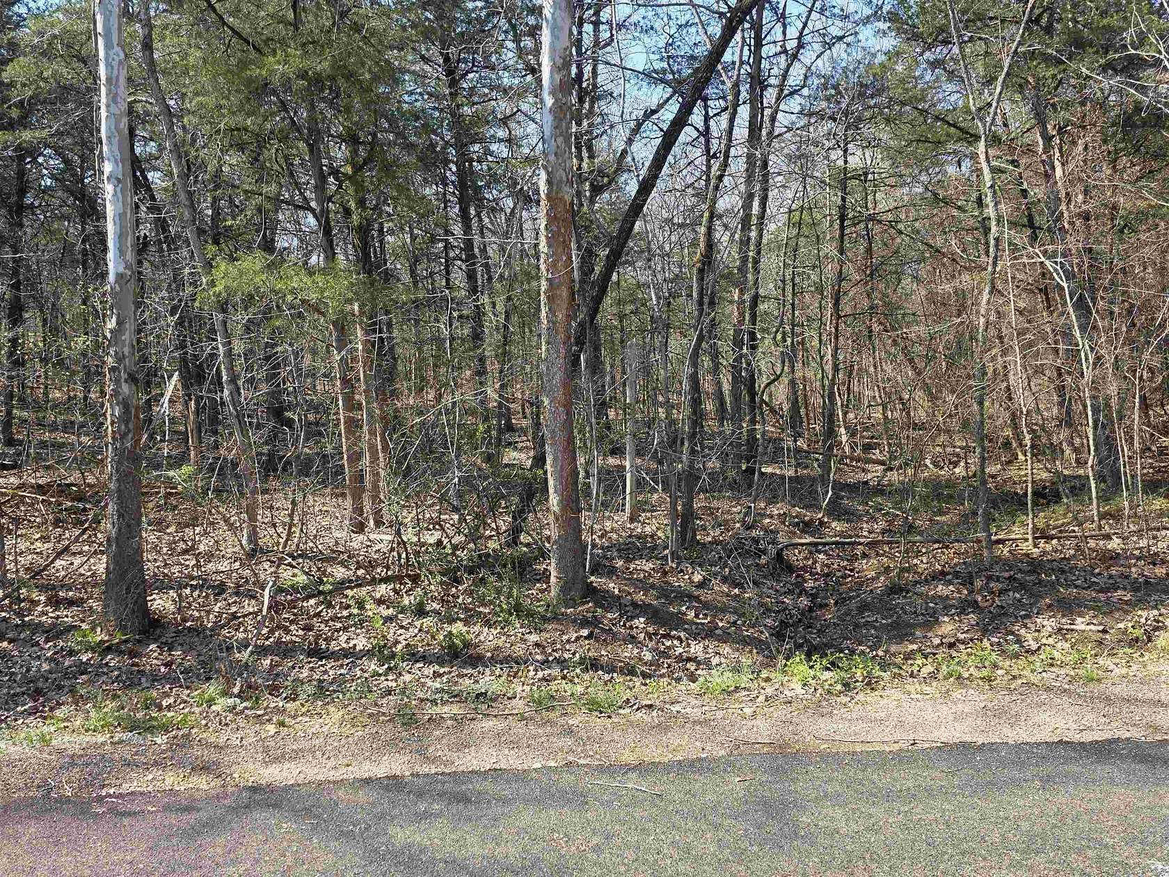0.34 Acres of Residential Land for Sale in Cherokee Village, Arkansas