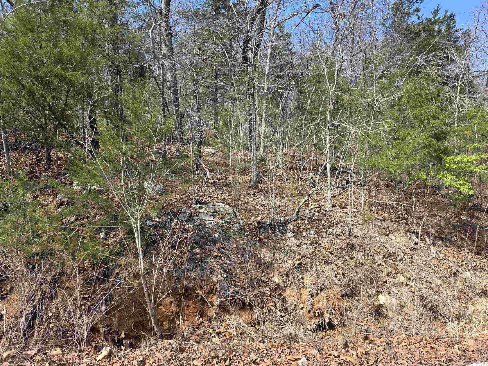 0.15 Acres of Residential Land for Sale in Cherokee Village, Arkansas