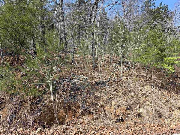 0.15 Acres of Residential Land for Sale in Cherokee Village, Arkansas