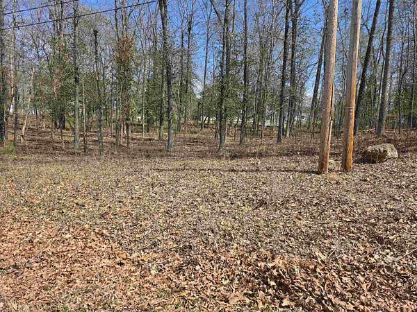 0.2 Acres of Residential Land for Sale in Cherokee Village, Arkansas