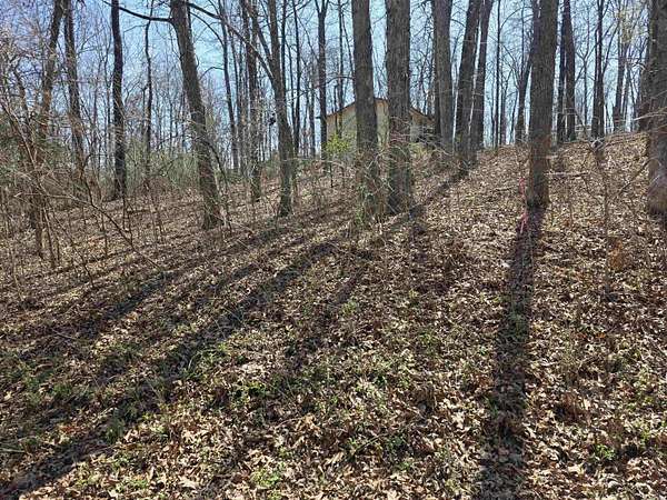 0.23 Acres of Residential Land for Sale in Cherokee Village, Arkansas