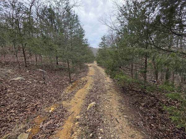 0.24 Acres of Land for Sale in Hardy, Arkansas