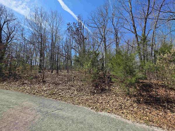 0.29 Acres of Residential Land for Sale in Cherokee Village, Arkansas