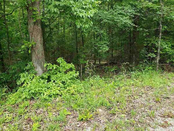 0.32 Acres of Residential Land for Sale in Cherokee Village, Arkansas