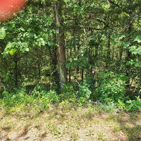 0.36 Acres of Residential Land for Sale in Cherokee Village, Arkansas