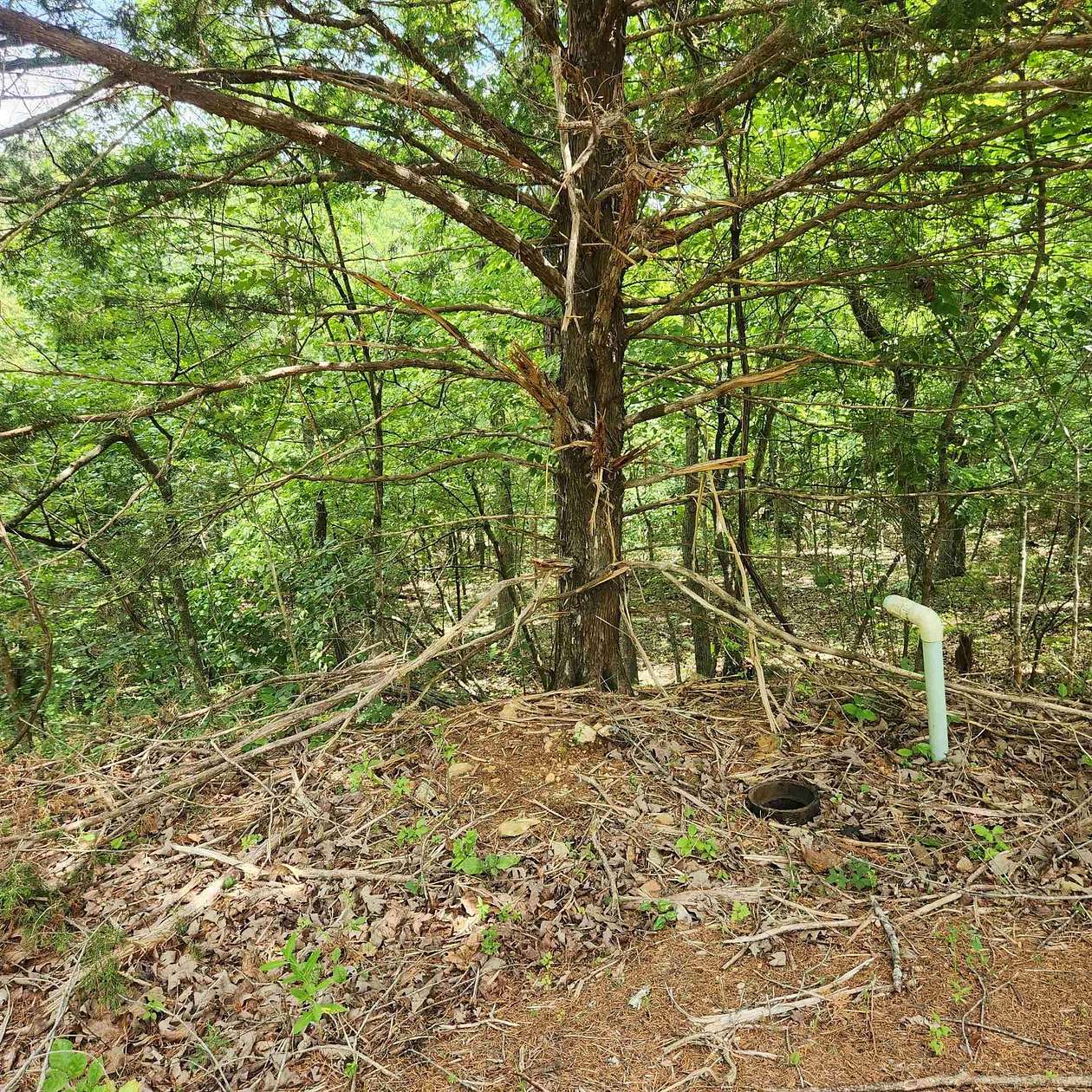 0.33 Acres of Residential Land for Sale in Cherokee Village, Arkansas