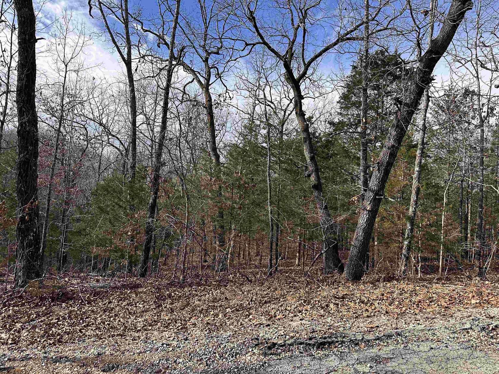 0.35 Acres of Residential Land for Sale in Cherokee Village, Arkansas
