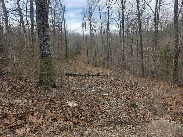 2 Acres of Residential Land for Sale in Ozark Acres, Arkansas