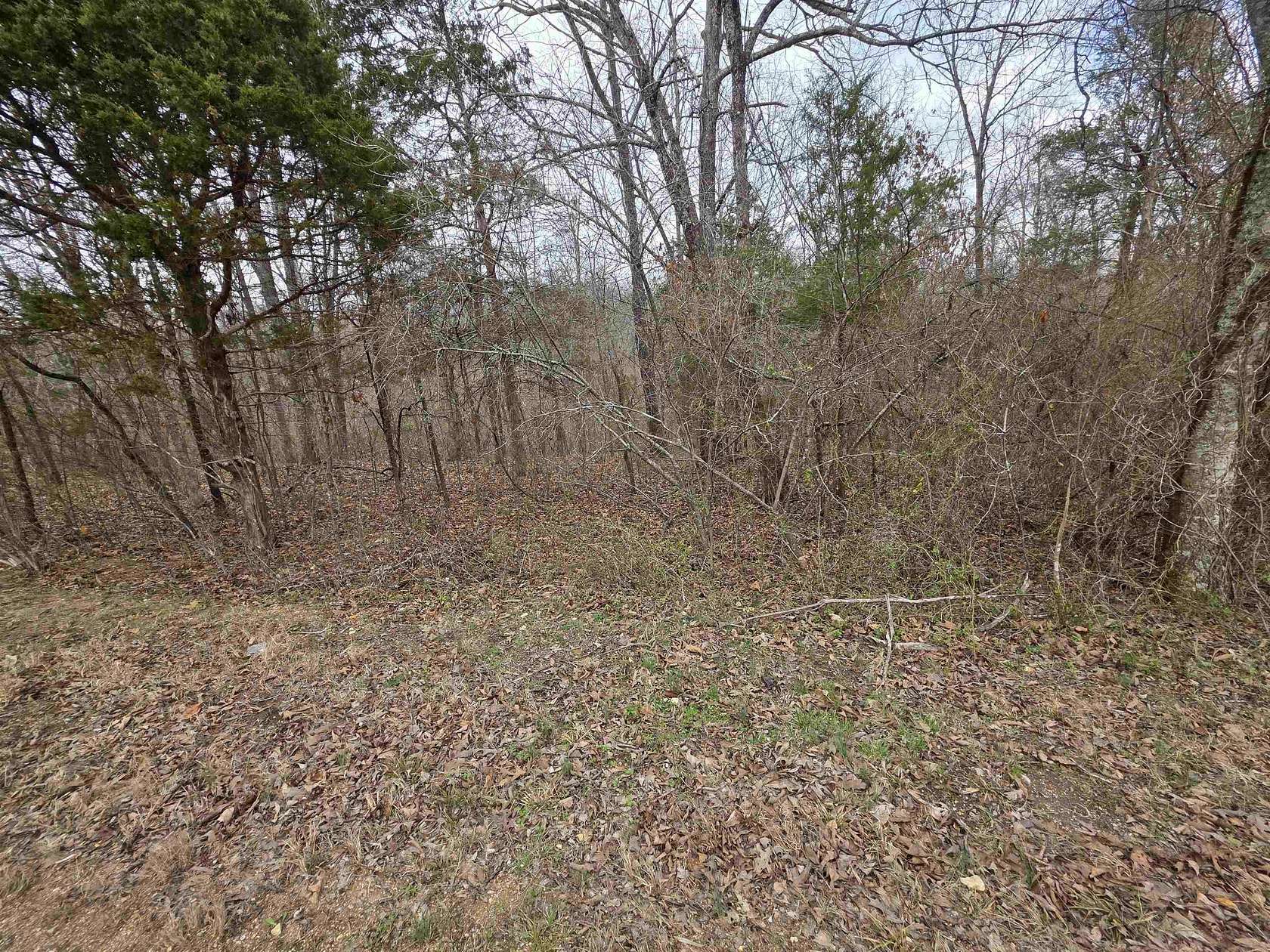 0.26 Acres of Land for Sale in Ozark Acres, Arkansas