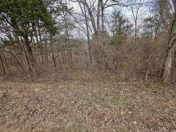 0.26 Acres of Land for Sale in Ozark Acres, Arkansas