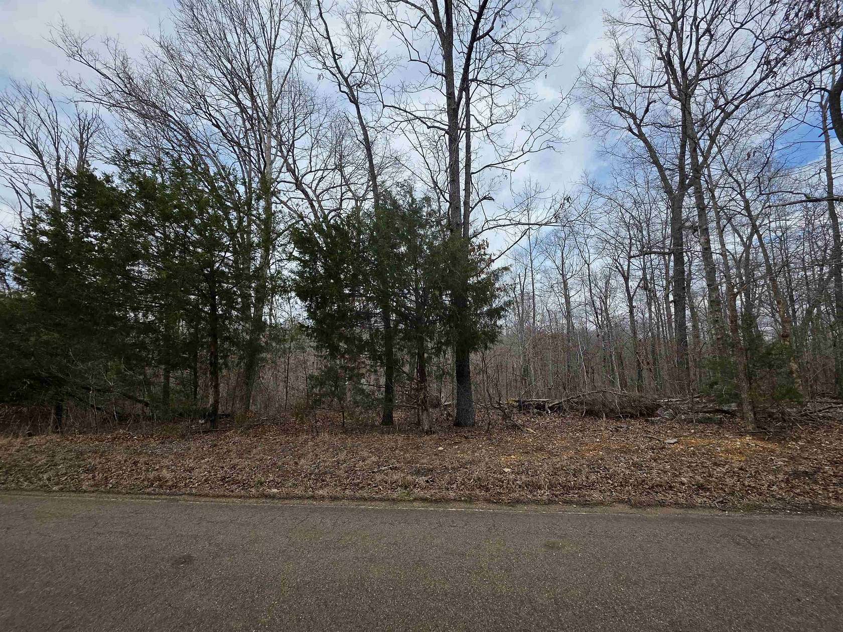 0.28 Acres of Land for Sale in Ozark Acres, Arkansas