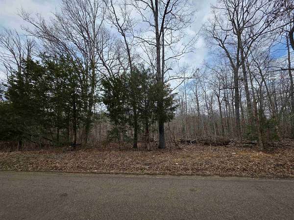 0.28 Acres of Land for Sale in Ozark Acres, Arkansas