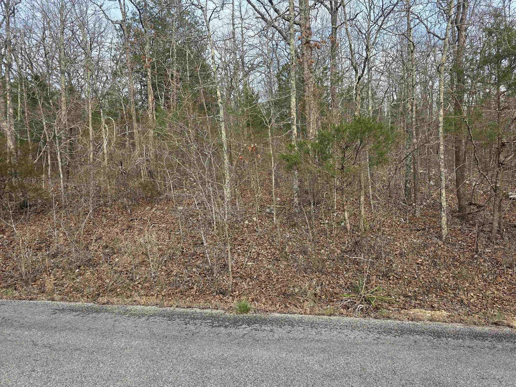 0.2 Acres of Residential Land for Sale in Cherokee Village, Arkansas