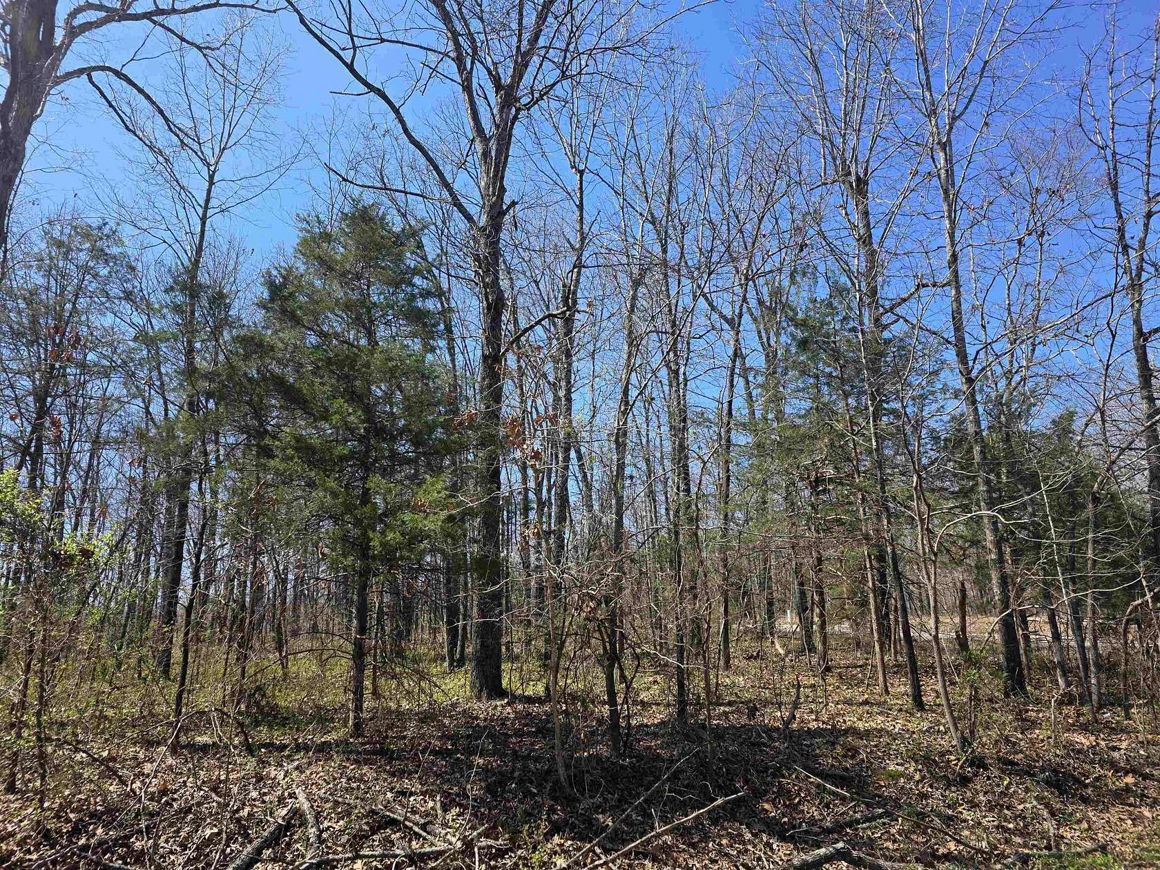0.22 Acres of Residential Land for Sale in Ozark Acres, Arkansas