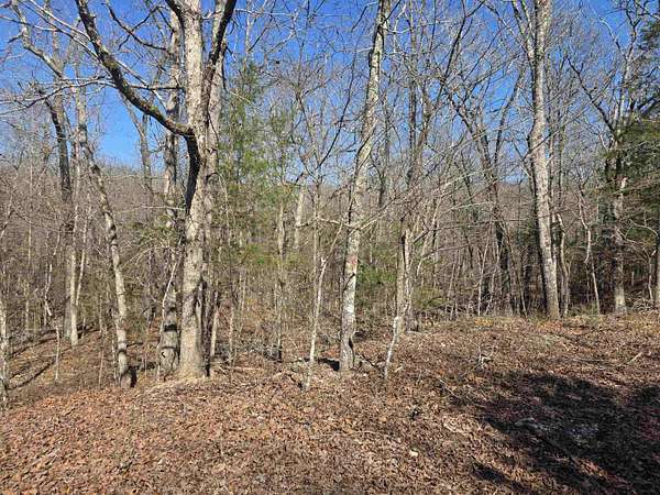 0.5 Acres of Residential Land for Sale in Cherokee Village, Arkansas