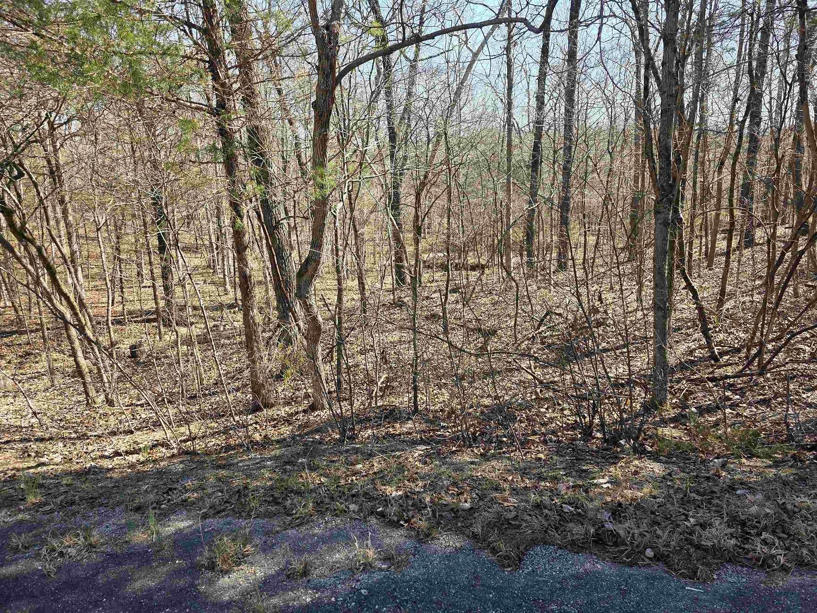 0.33 Acres of Residential Land for Sale in Cherokee Village, Arkansas