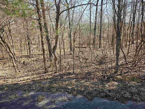 0.33 Acres of Residential Land for Sale in Cherokee Village, Arkansas
