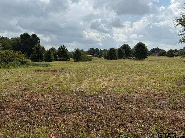 51.3 Acres of Land for Sale in Lindale, Texas
