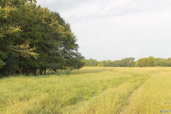 40.5 Acres of Land for Sale in Danville, Alabama