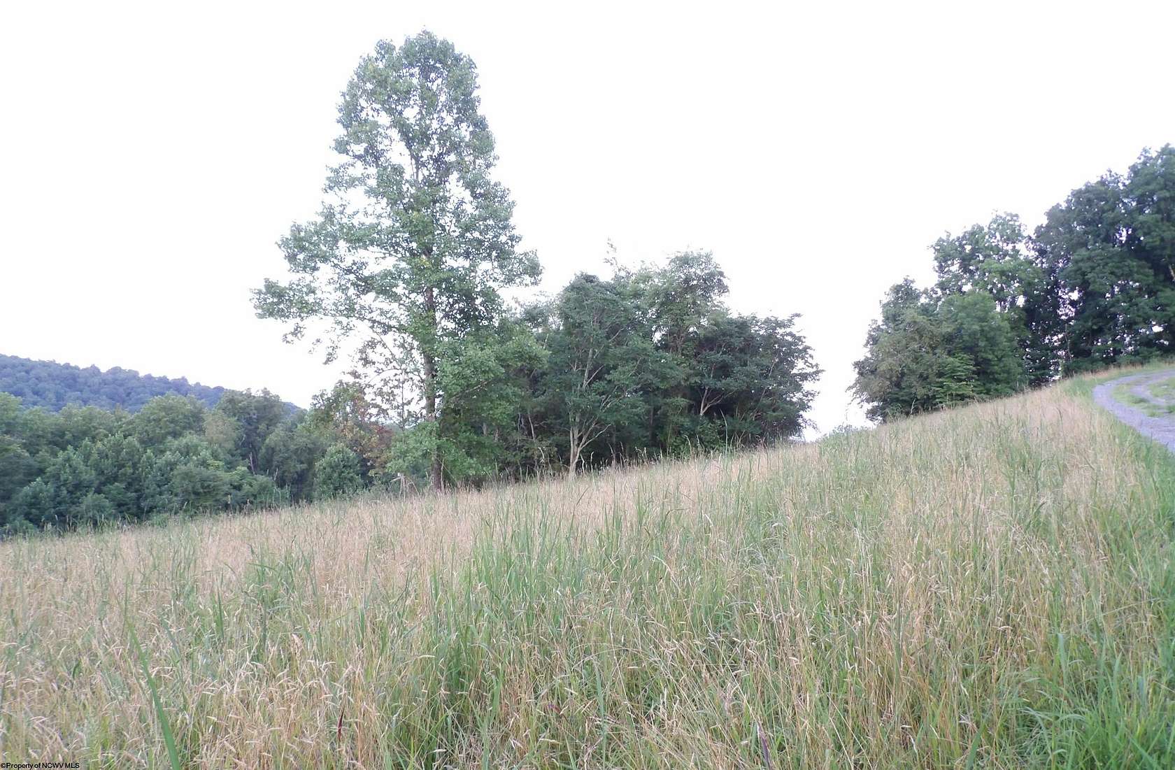 0.45 Acres of Residential Land for Sale in Grafton, West Virginia