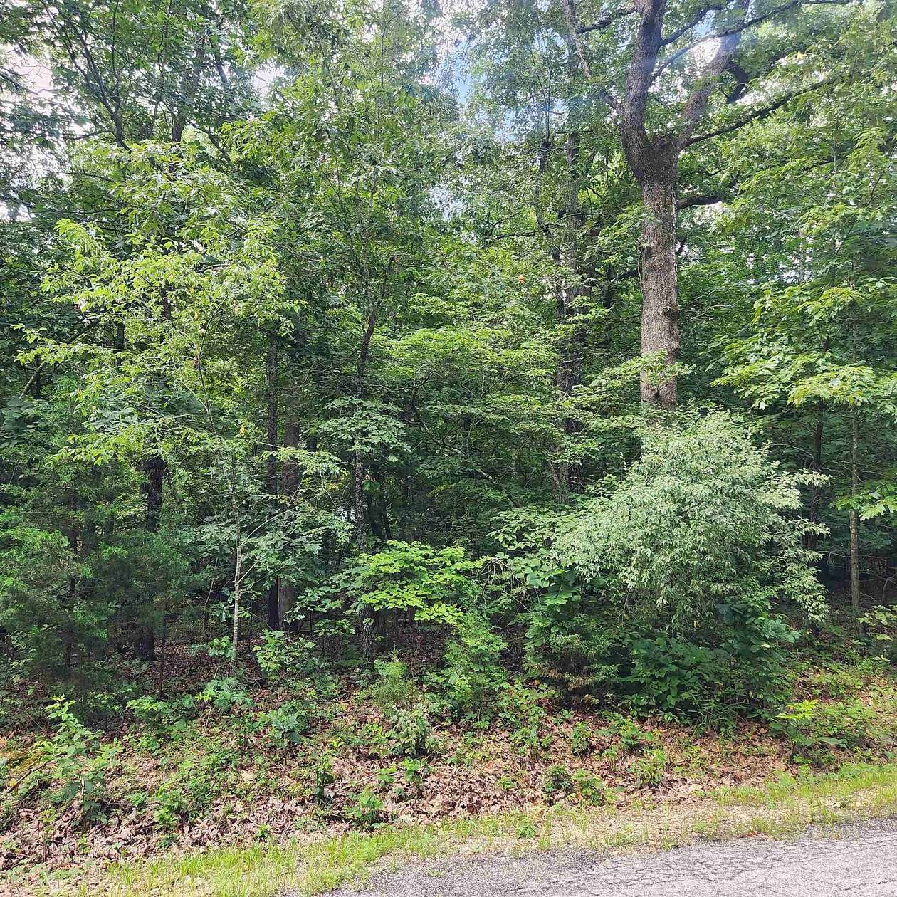 0.28 Acres of Residential Land for Sale in Cherokee Village, Arkansas