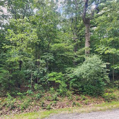 0.28 Acres of Residential Land for Sale in Cherokee Village, Arkansas