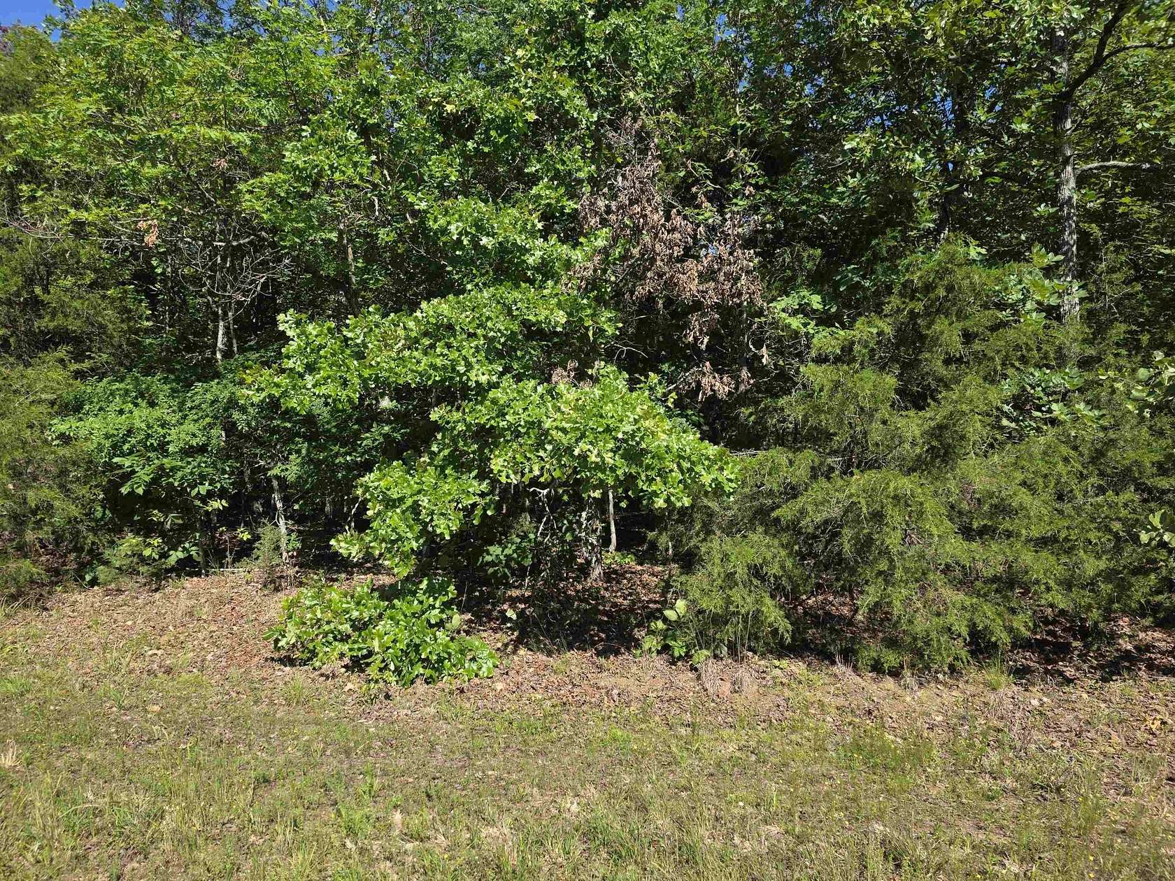 3.85 Acres of Land for Sale in Evening Shade, Arkansas