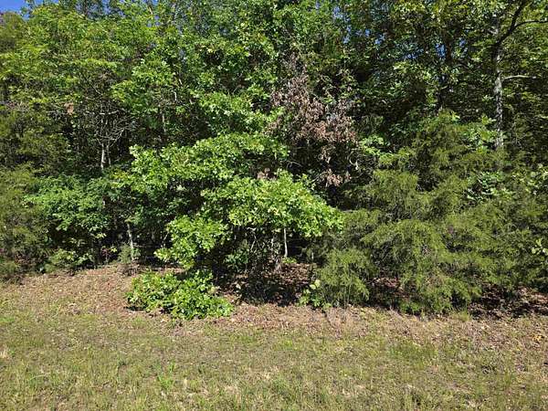3.85 Acres of Land for Sale in Evening Shade, Arkansas
