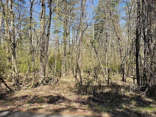 0.26 Acres of Residential Land for Sale in Hot Springs Village, Arkansas