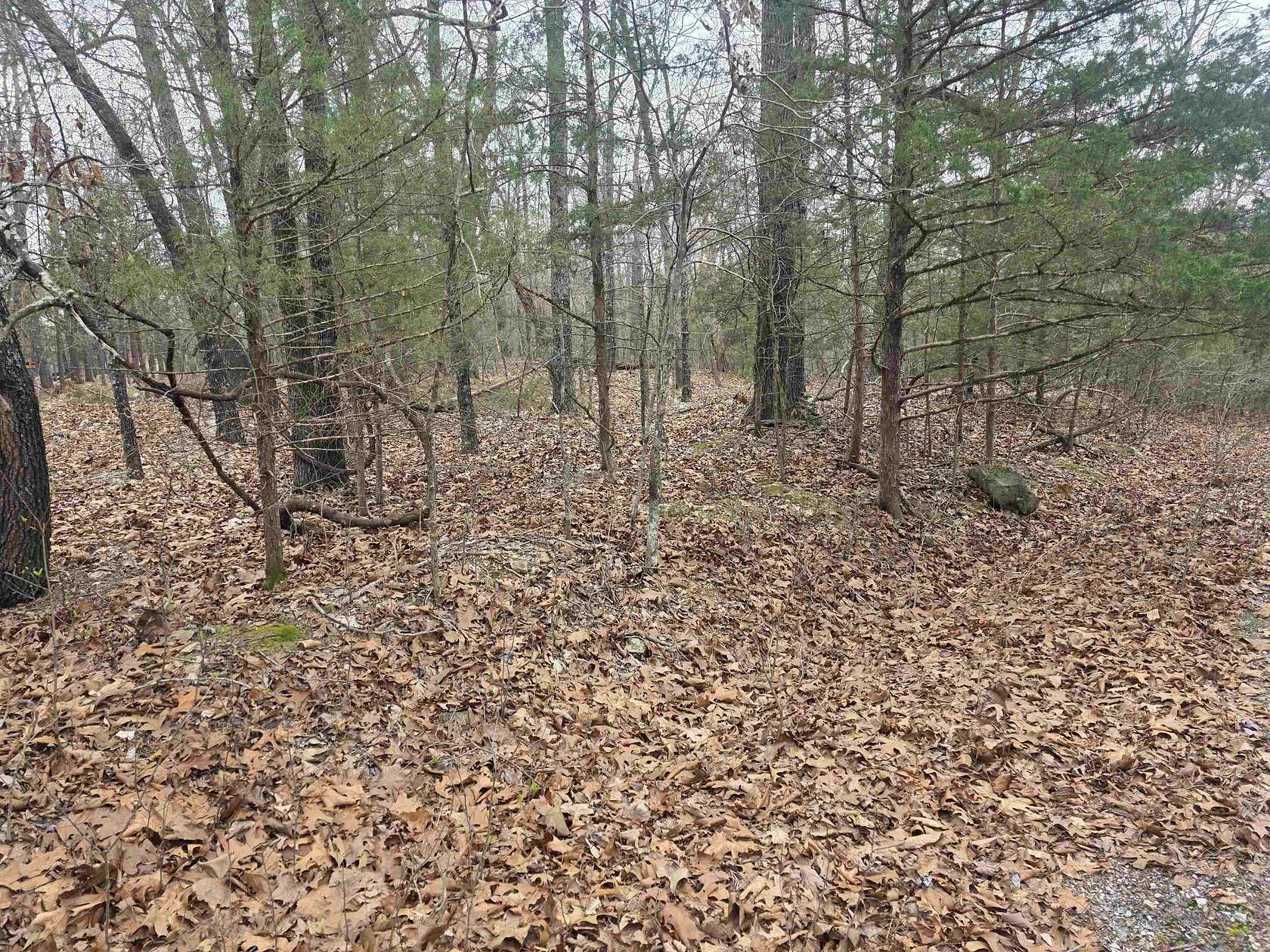 0.26 Acres of Residential Land for Sale in Cherokee Village, Arkansas