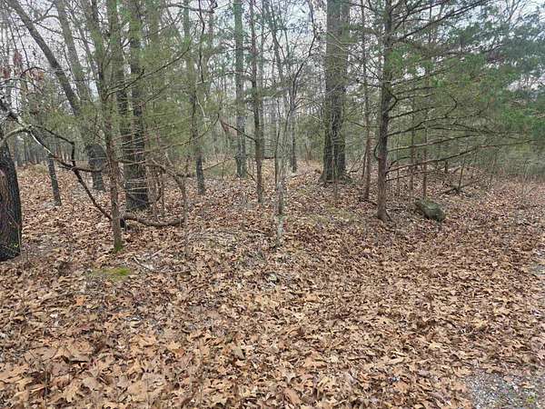 0.26 Acres of Residential Land for Sale in Cherokee Village, Arkansas