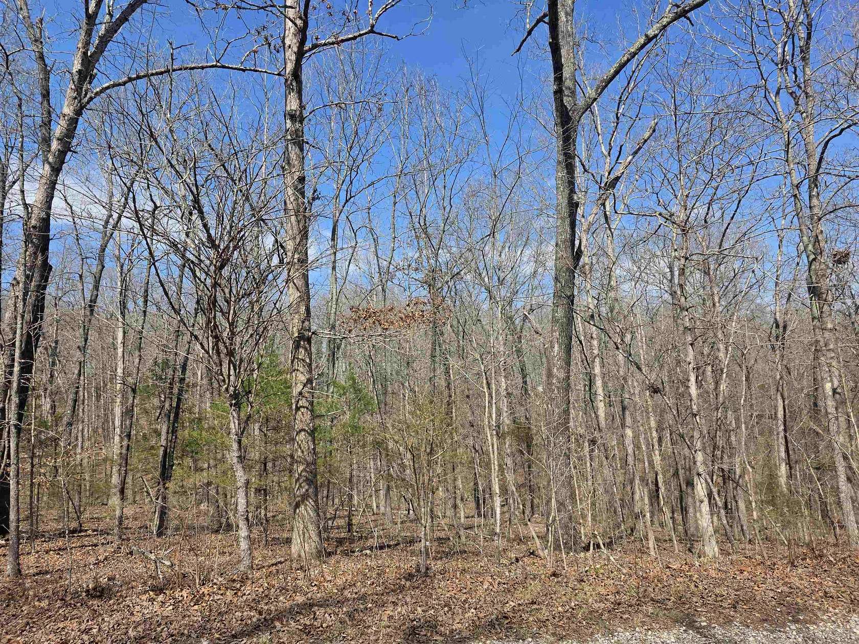 0.31 Acres of Residential Land for Sale in Cherokee Village, Arkansas