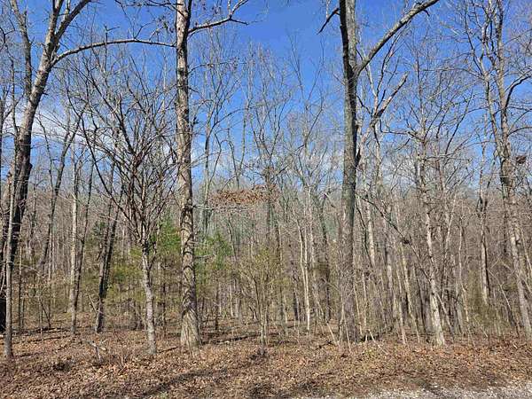 0.31 Acres of Residential Land for Sale in Cherokee Village, Arkansas