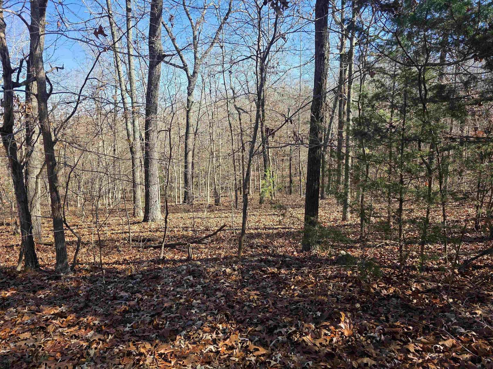 0.29 Acres of Residential Land for Sale in Cherokee Village, Arkansas