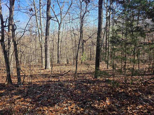 0.29 Acres of Residential Land for Sale in Cherokee Village, Arkansas