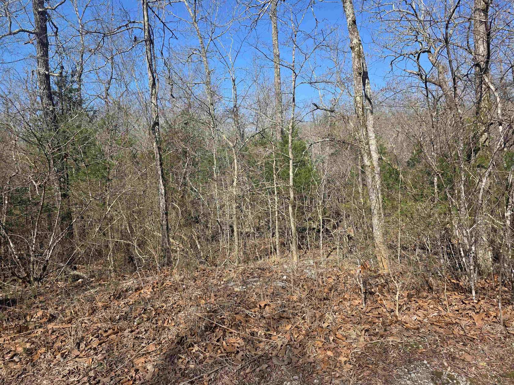 0.42 Acres of Residential Land for Sale in Cherokee Village, Arkansas