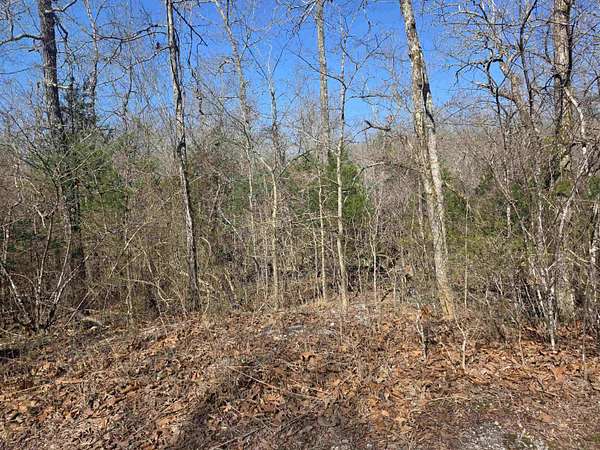 0.42 Acres of Residential Land for Sale in Cherokee Village, Arkansas