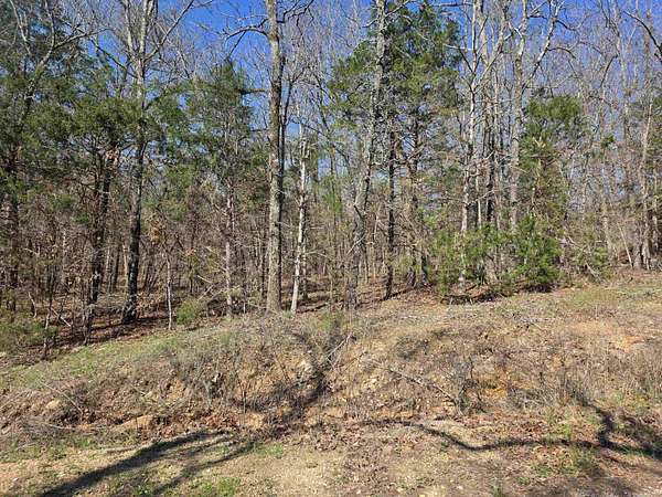 0.31 Acres of Residential Land for Sale in Cherokee Village, Arkansas