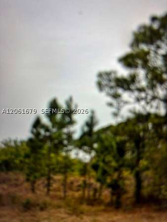 0.23 Acres of Residential Land for Sale in Lehigh Acres, Florida