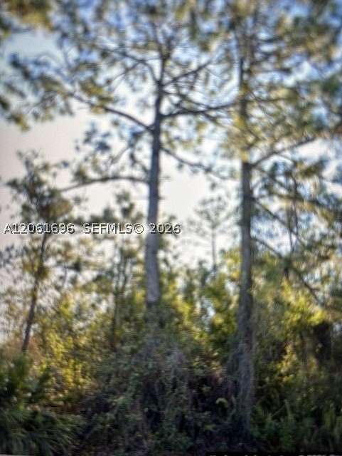 0.23 Acres of Residential Land for Sale in Lehigh Acres, Florida