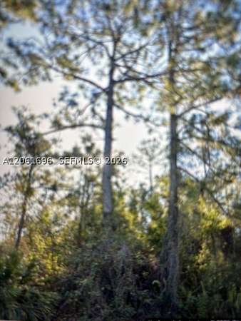 0.23 Acres of Residential Land for Sale in Lehigh Acres, Florida