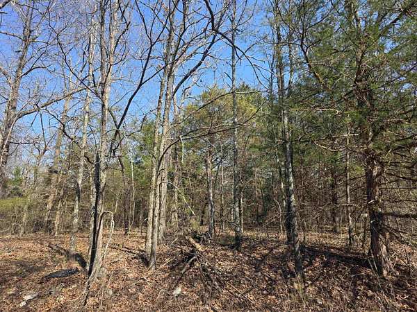 0.26 Acres of Residential Land for Sale in Cherokee Village, Arkansas