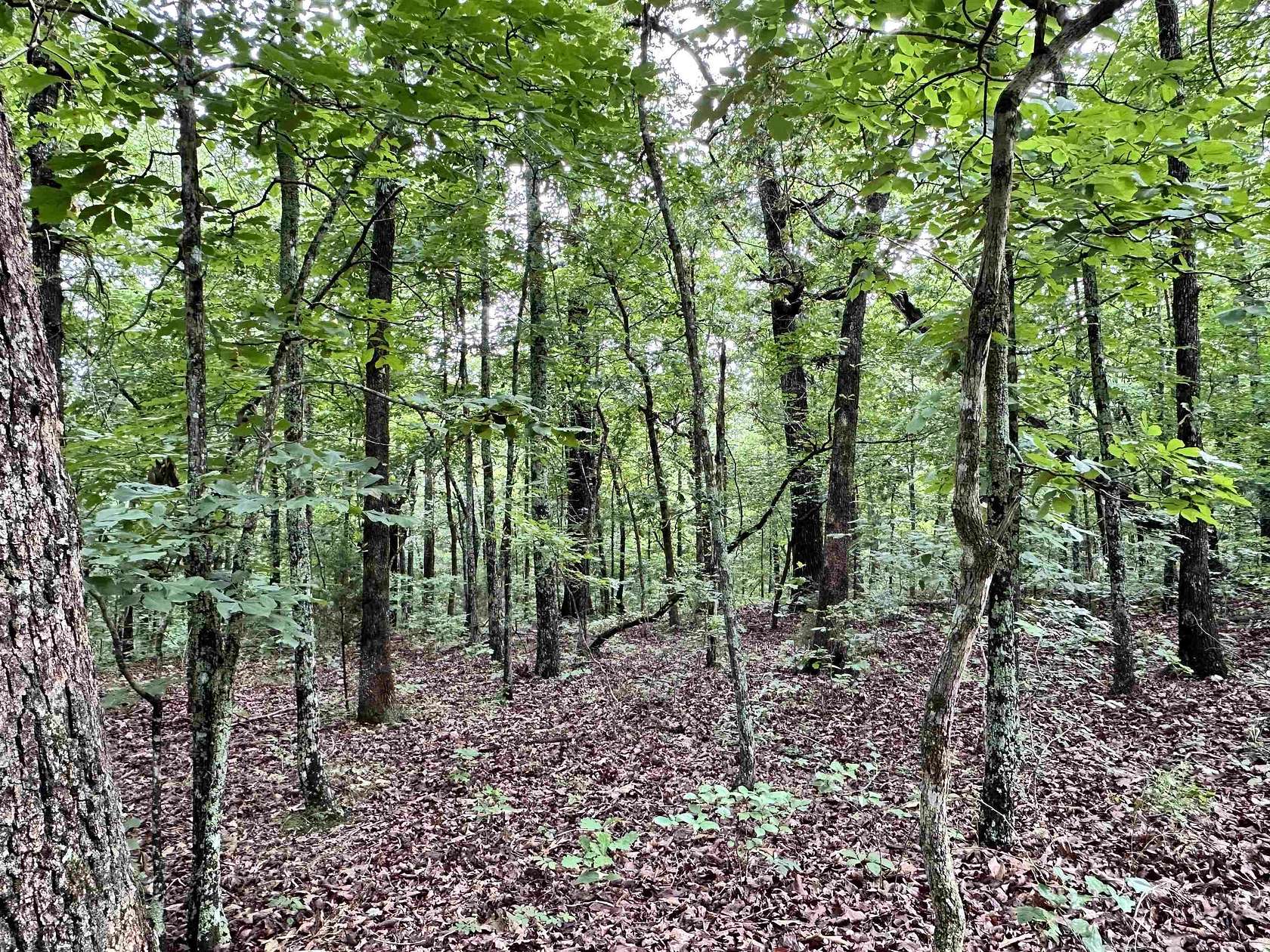 0.14 Acres of Residential Land for Sale in Williford, Arkansas