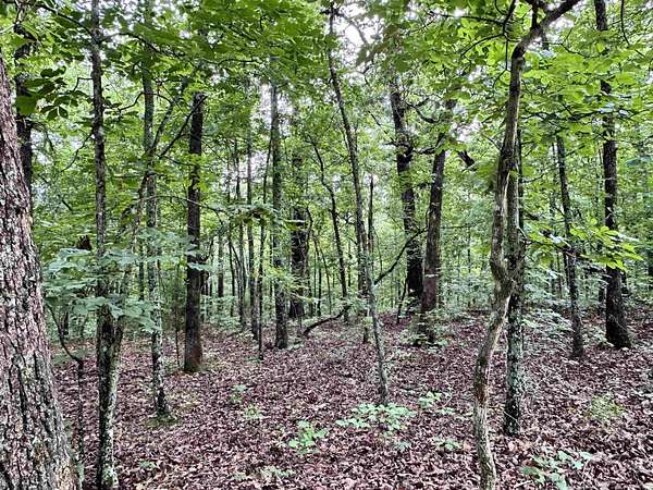 0.14 Acres of Residential Land for Sale in Williford, Arkansas