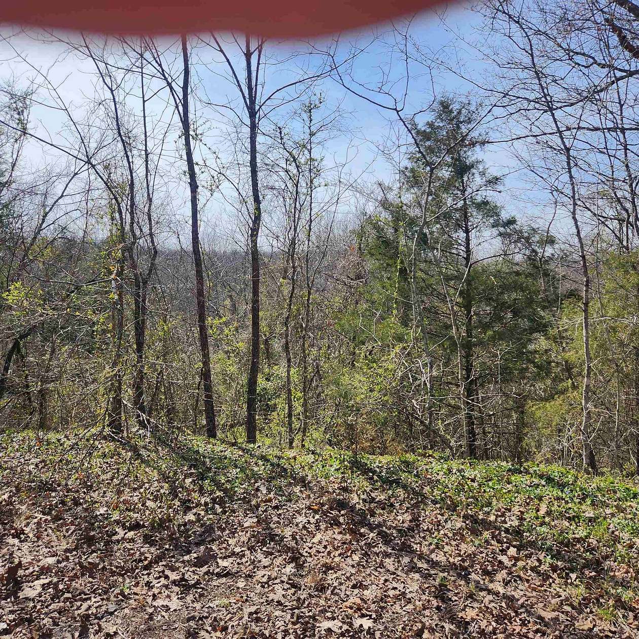 0.24 Acres of Residential Land for Sale in Cherokee Village, Arkansas